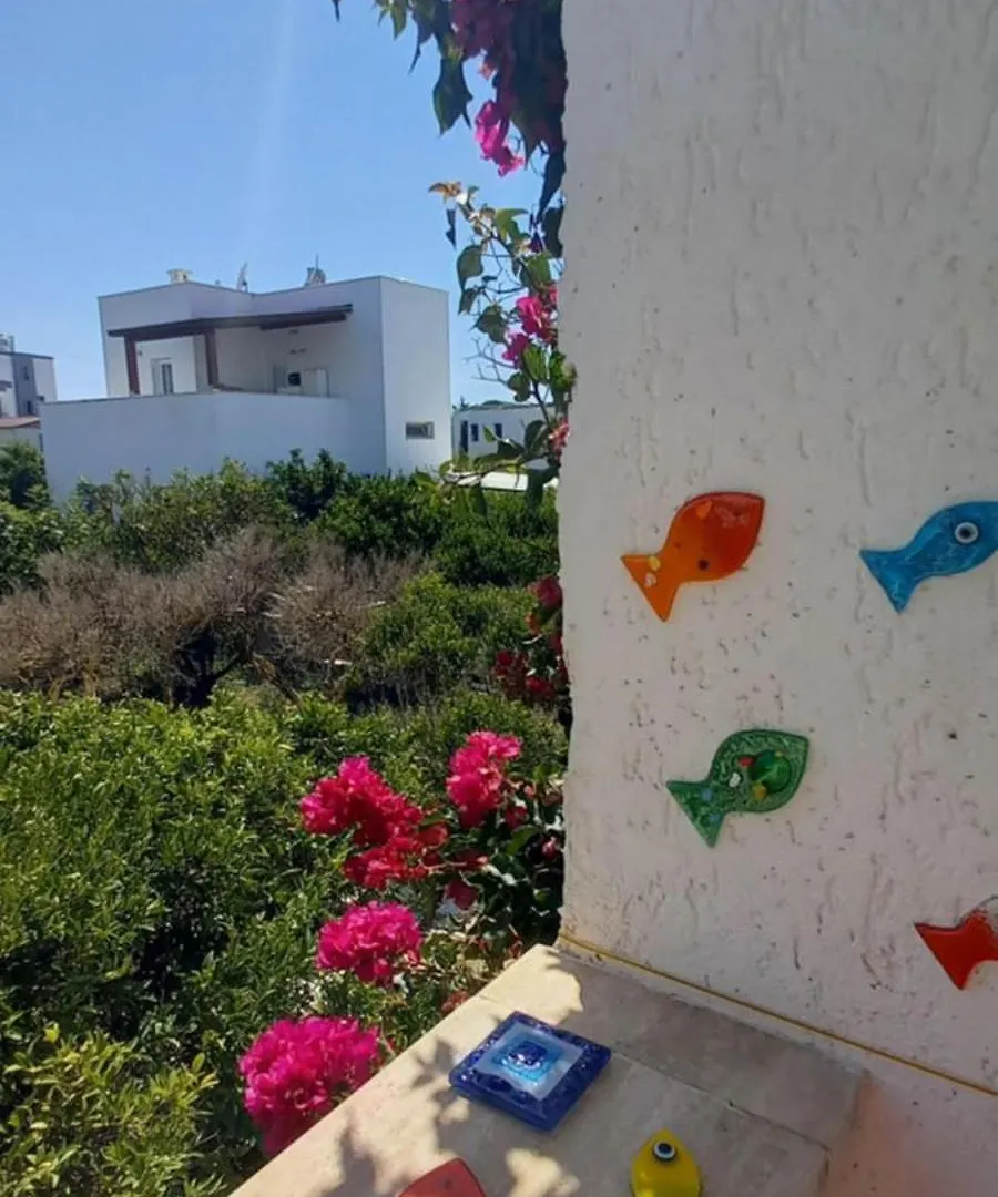 Rahat Ev Bodrum Turkey
